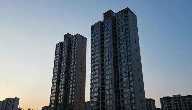 企业战略规划服务中检查要点及处理方向